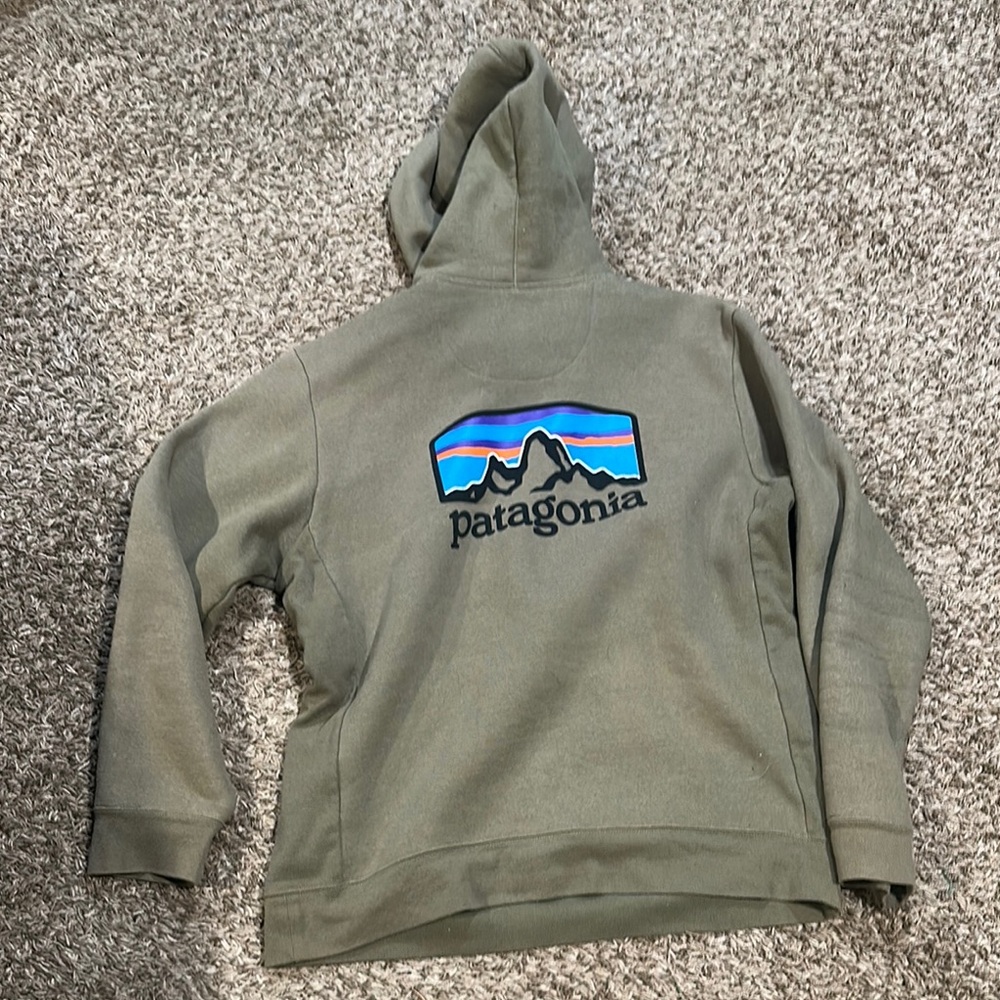Patagonia Heavy Green Hoodie